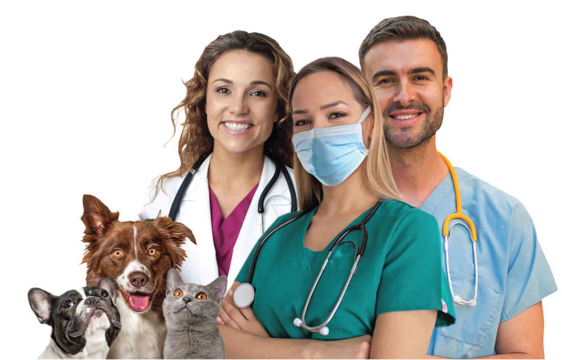 ACCESS-Pasadena-Animal-Hospital-Doctors-Technicians-2