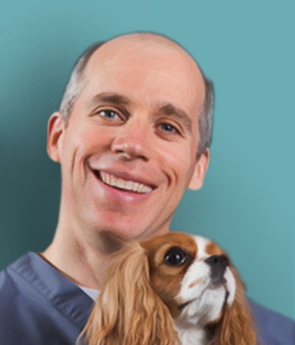 Cavi Access Specialty Animal Hospital Pasadena Dr Steve Cole
