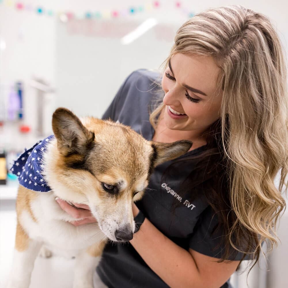 female vet tech holding dog wearing blue bandana
